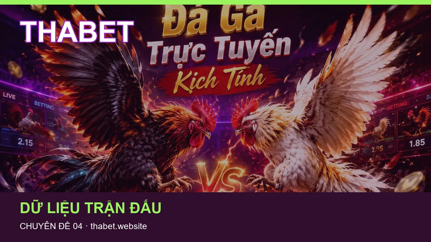 Hỏi đáp: những thuật ngữ cần hiểu khi tra cứu THABET